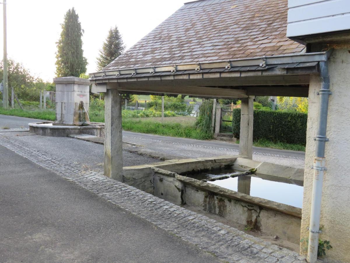 Gite du verger Bruges-Capbis-Mifaget Extérieur photo